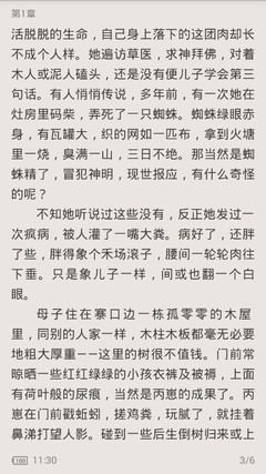 如何查询菲律宾移民局签证进度(签证查询详解)